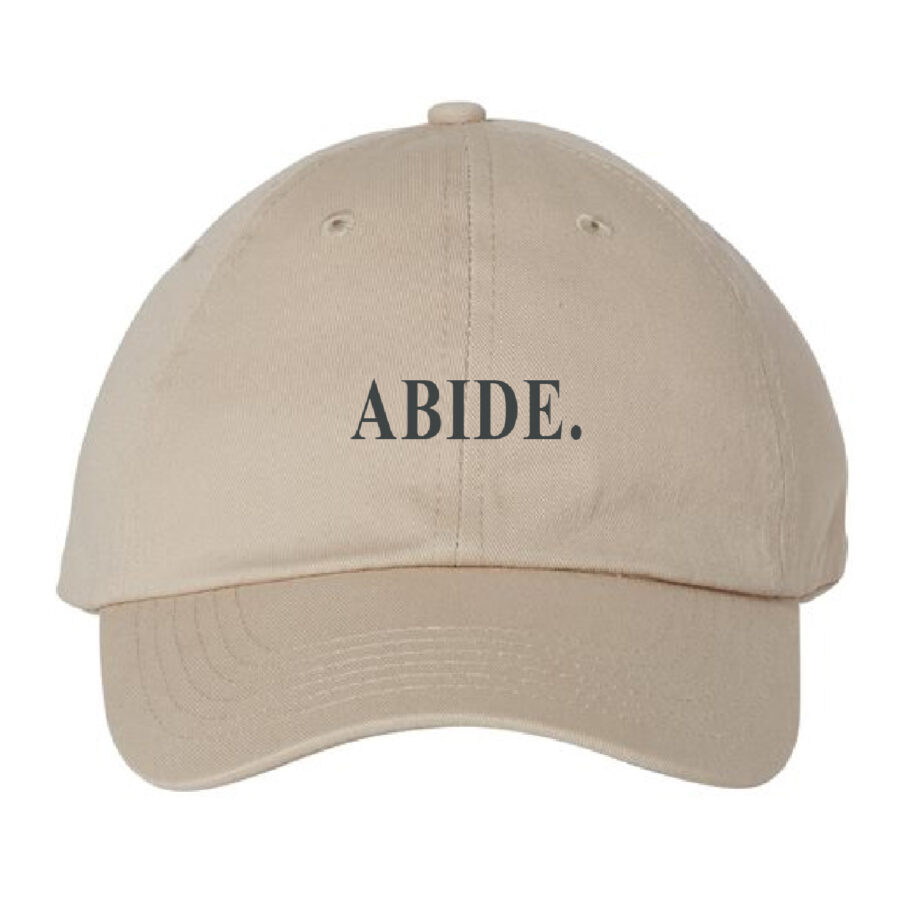 Abide Dad Cap - Image 3